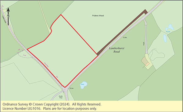 Lot: 85 - FREEHOLD WOODLAND -